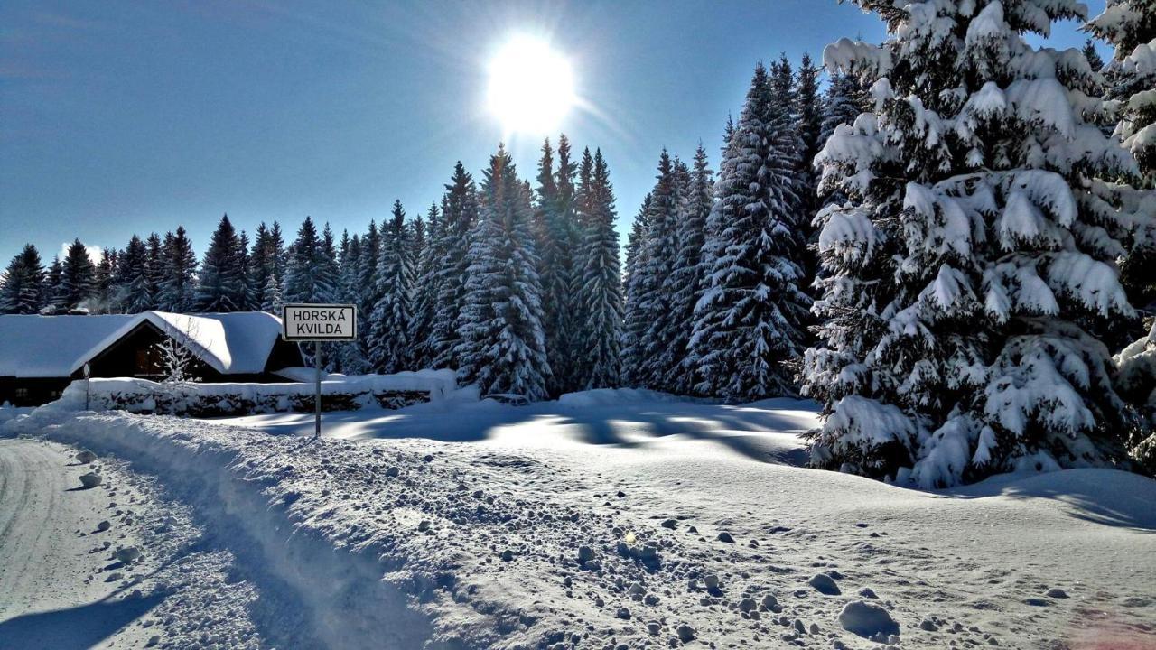 Penzion Хорска Квилда Екстериор снимка